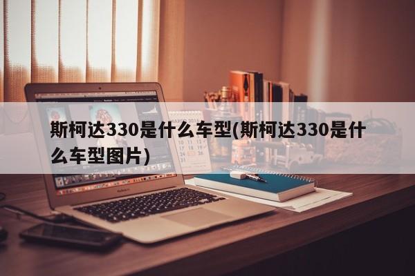 斯柯达330是什么车型(斯柯达330是什么车型图片)