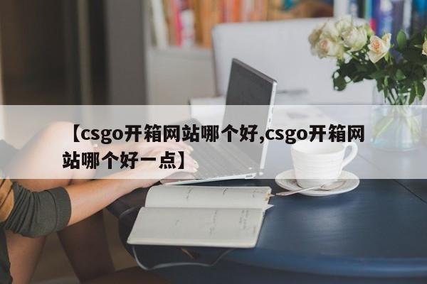 【csgo开箱网站哪个好,csgo开箱网站哪个好一点】