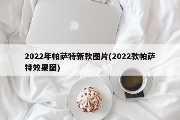 2022年帕萨特新款图片(2022款帕萨特效果图)