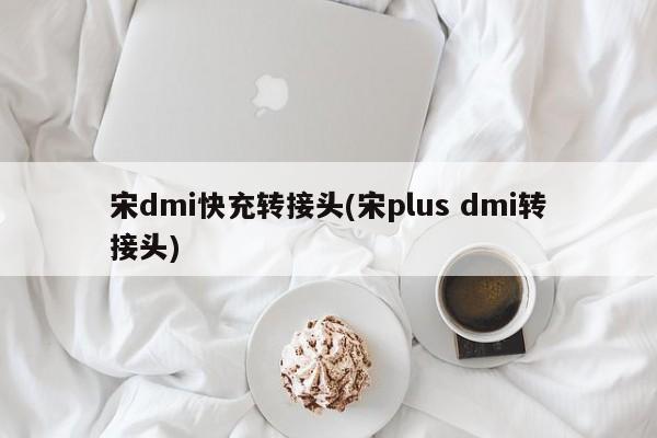 宋dmi快充转接头(宋plus dmi转接头)